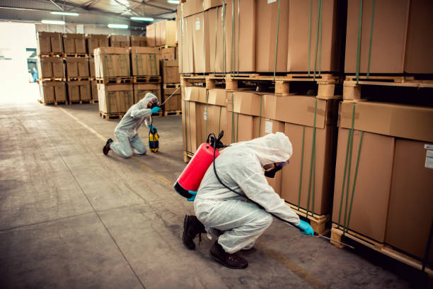 Best Best Pest Control Companies  in Osakis, MN