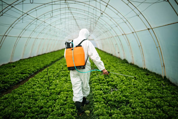 Best Best Pest Control Companies  in Osakis, MN