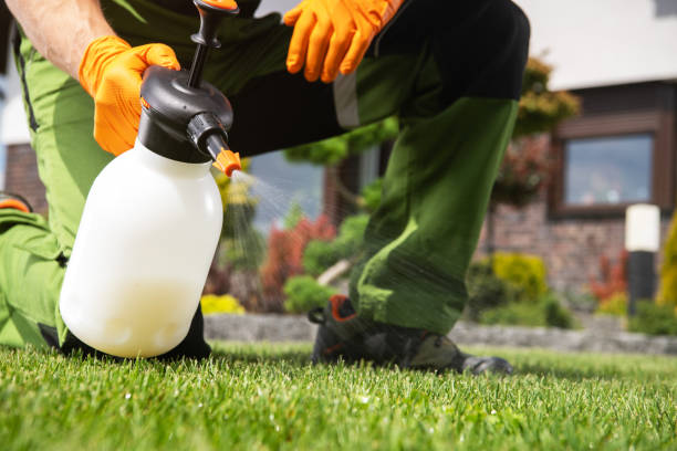 Best Affordable Pest Control Services  in Osakis, MN