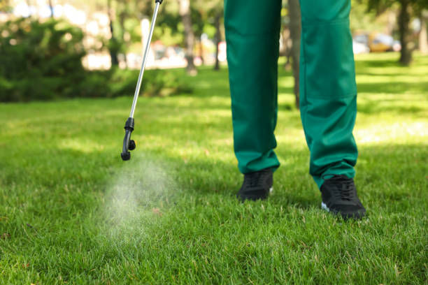 Best Wasp Removal Services  in Osakis, MN