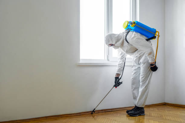 Best Cockroach Control Services  in Osakis, MN