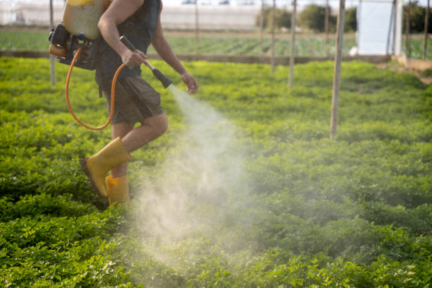 Best Affordable Pest Control Services  in Osakis, MN
