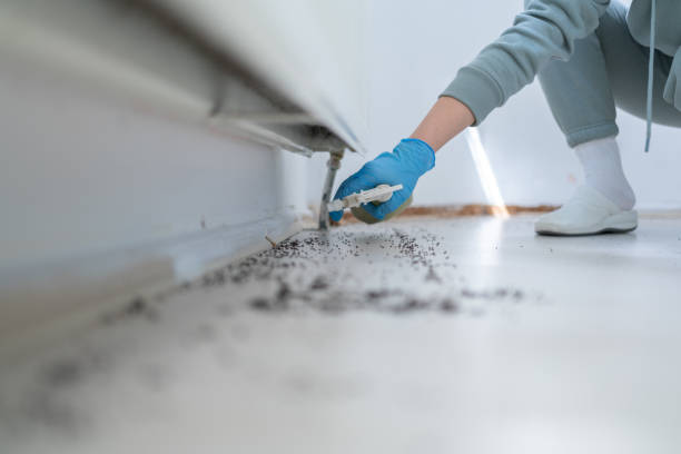 Best Commercial Pest Control Services  in Osakis, MN
