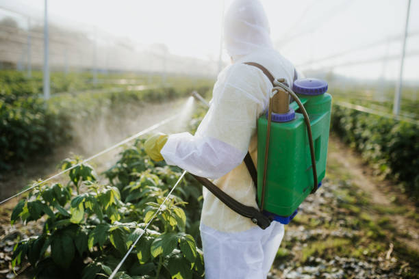 Best Mosquito Control Services  in Osakis, MN